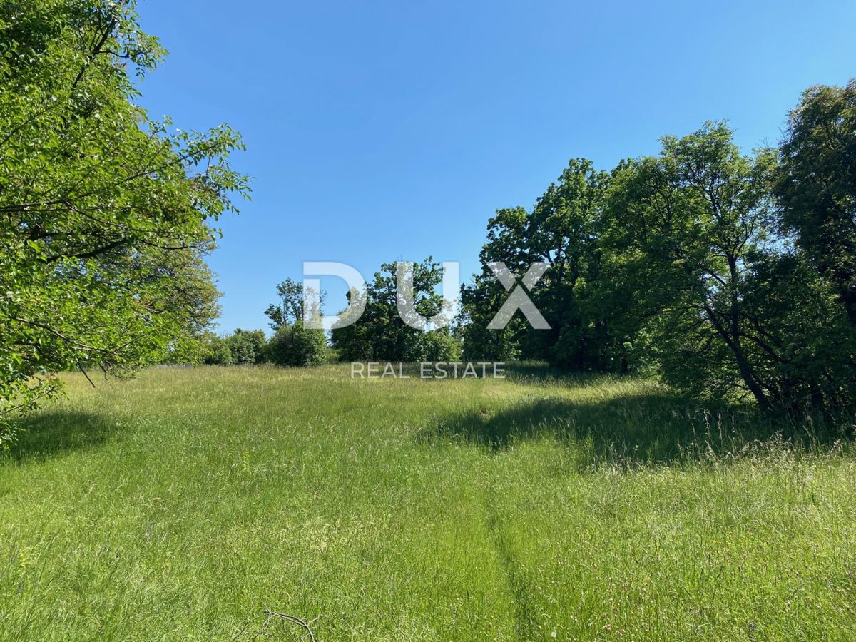 RIJEKA, ČAVLE - terreno edificabile 1.227 m2 COMPLETAMENTE PIANETALE! per un edificio residenziale / appartamenti / monolocali / case unifamiliari / ville! OPPORTUNITÀ!
