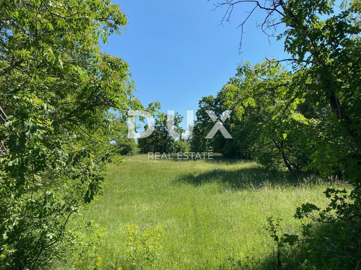 RIJEKA, ČAVLE - terreno edificabile 1.227 m2 COMPLETAMENTE PIANETALE! per un edificio residenziale / appartamenti / monolocali / case unifamiliari / ville! OPPORTUNITÀ!