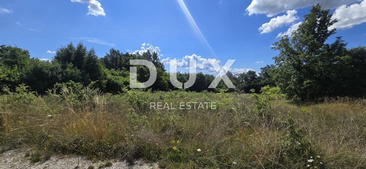 ISTRIA, TINJAN - Terreno edificabile con area agricola aggiuntiva