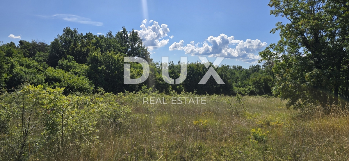 ISTRIA, TINJAN - Terreno edificabile con area agricola aggiuntiva