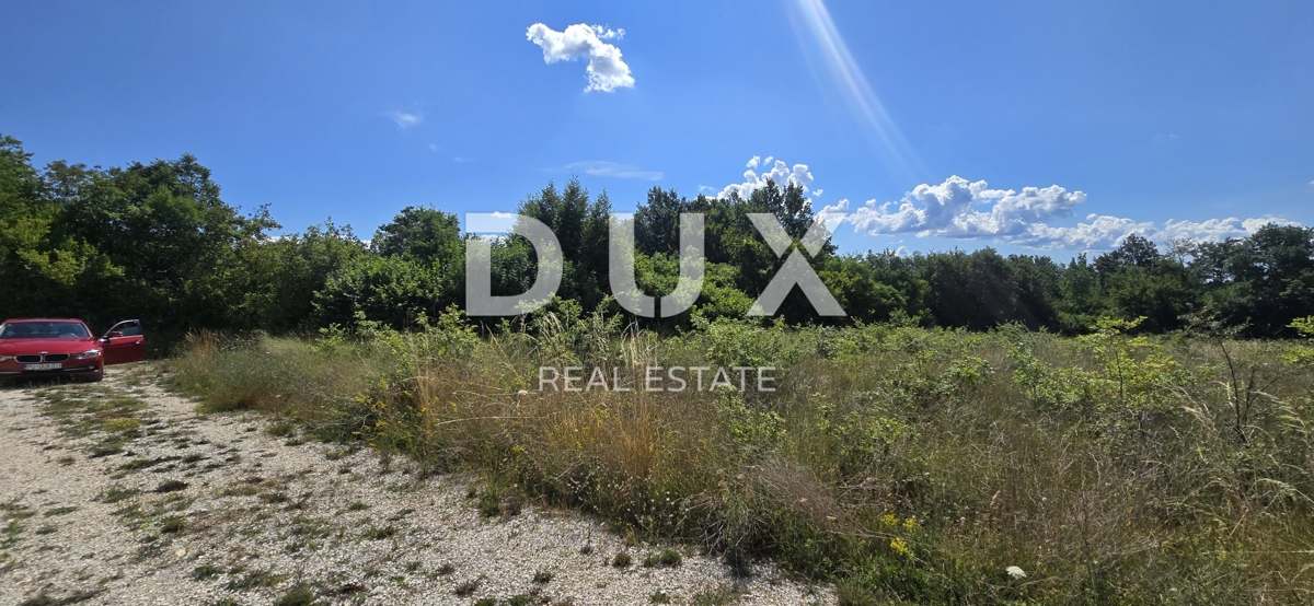 ISTRIA, TINJAN - Terreno edificabile con area agricola aggiuntiva