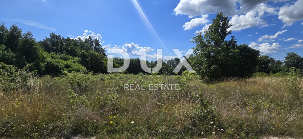 ISTRIA, TINJAN - Terreno edificabile con area agricola aggiuntiva