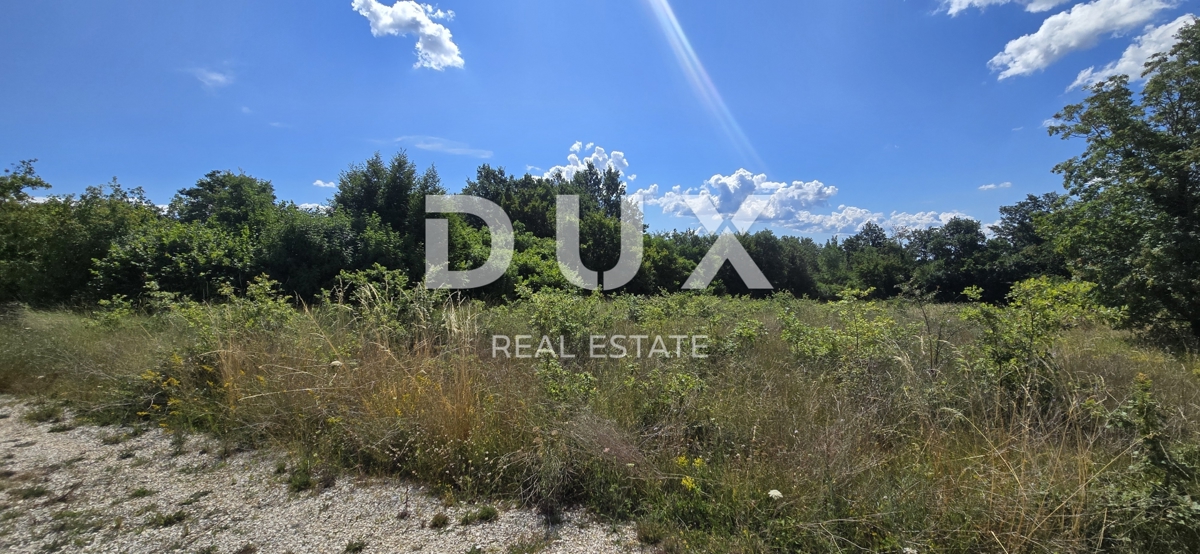ISTRIA, TINJAN - Terreno edificabile con area agricola aggiuntiva