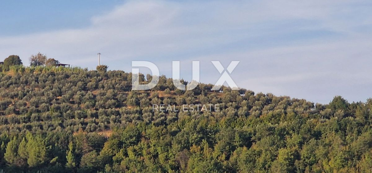 ISTRIA, MOTOVUN - Grande tenuta di 170.000 m2, la vista più bella dell'Istria - Lago Butoniga, Učka, Ćićarija, Montona e la foresta del tartufo di Montona!
