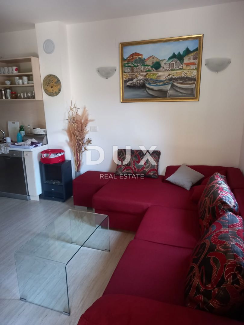 ISTRIA, VOLME - Appartamento con ampia terrazza, verde e tranquillità assoluta