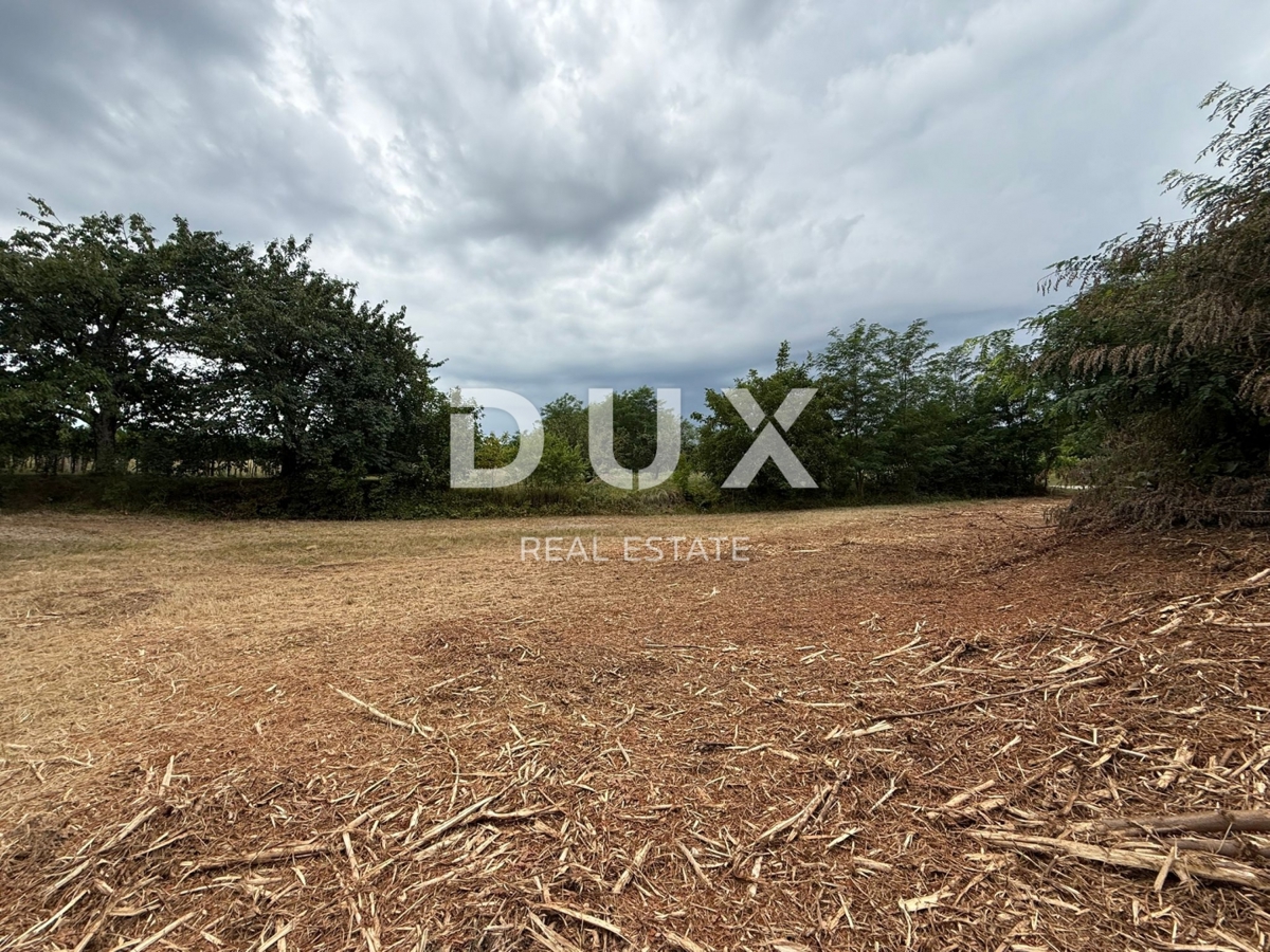 ISTRIA,ALBONA - Terreno edificabile in posizione privilegiata