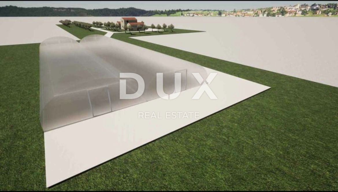 ISTRIA, SVETVINČENAT - Terreno con progetto 