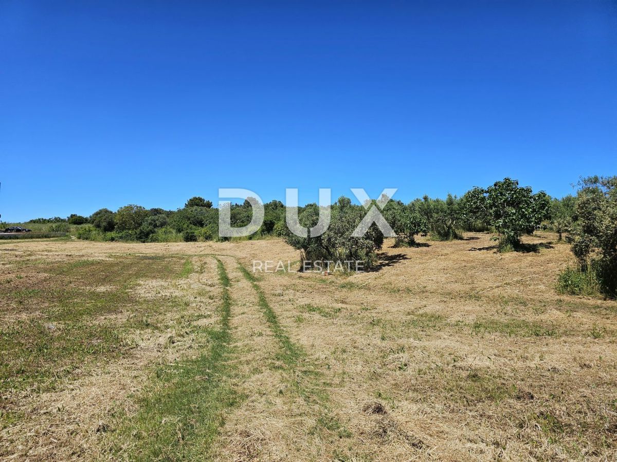 ISTRIA, POMER - Terreno edificabile con vista mare, perfetto per costruire una villa/casa/casa unifamiliare
