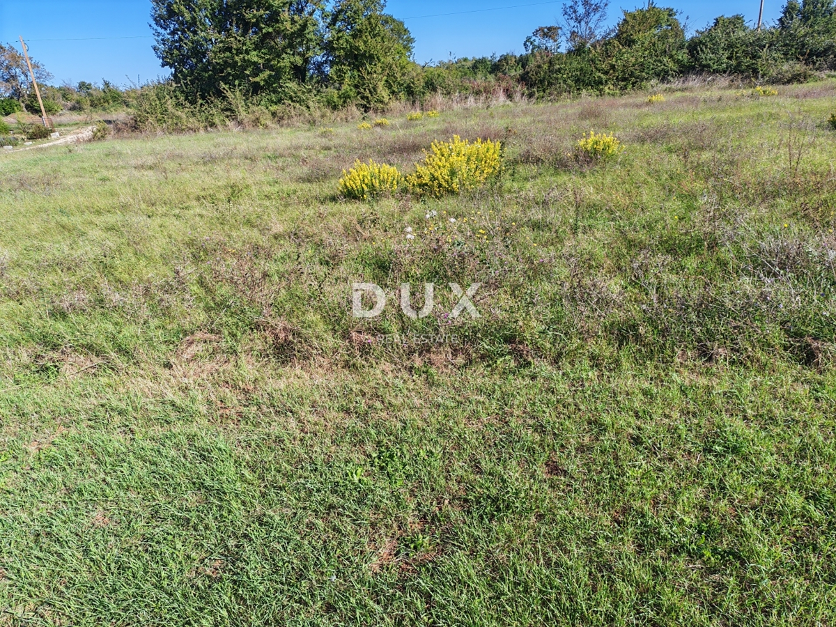 ISTRIA, LOBORIKA - Terreno edificabile in posizione tranquilla!