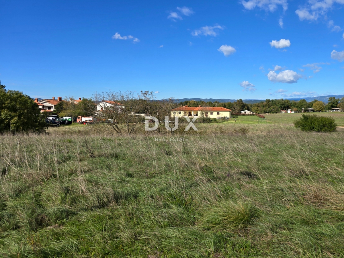ISTRIA, ALBONA - Terreno edificabile urbanizzato