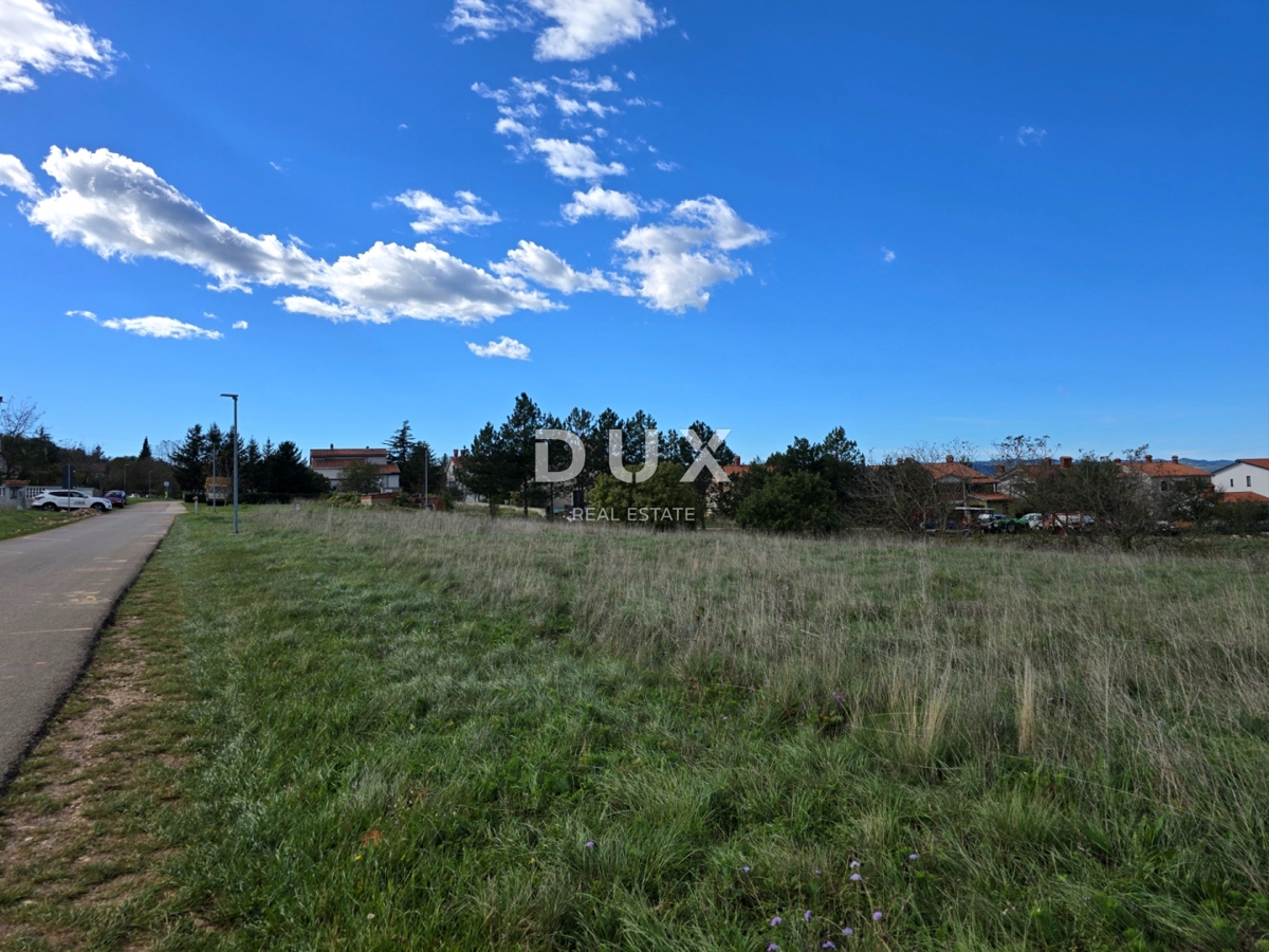 ISTRIA, ALBONA - Terreno edificabile urbanizzato