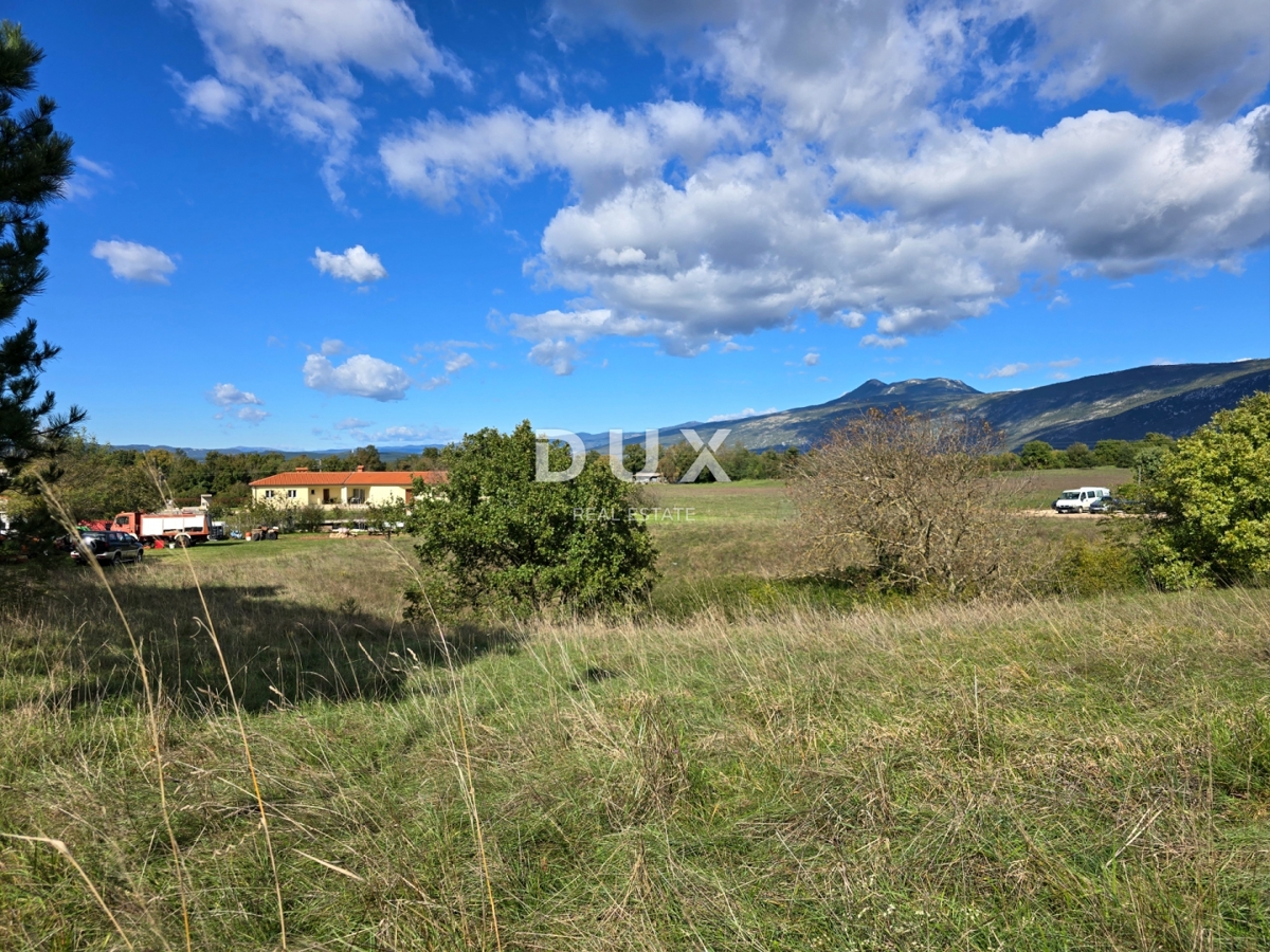 ISTRIA, ALBONA - Terreno edificabile urbanizzato