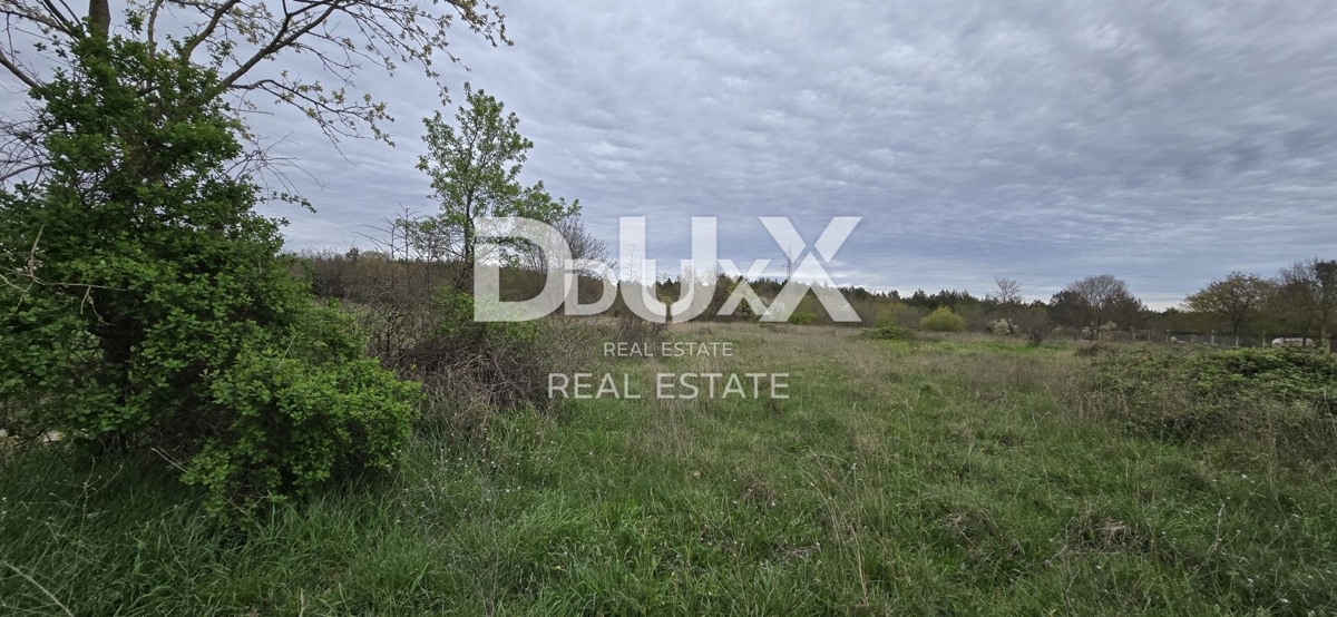 ISTRIA, SVETVINČENAT – Terreno con permesso definitivo e progetto di casa con piscina