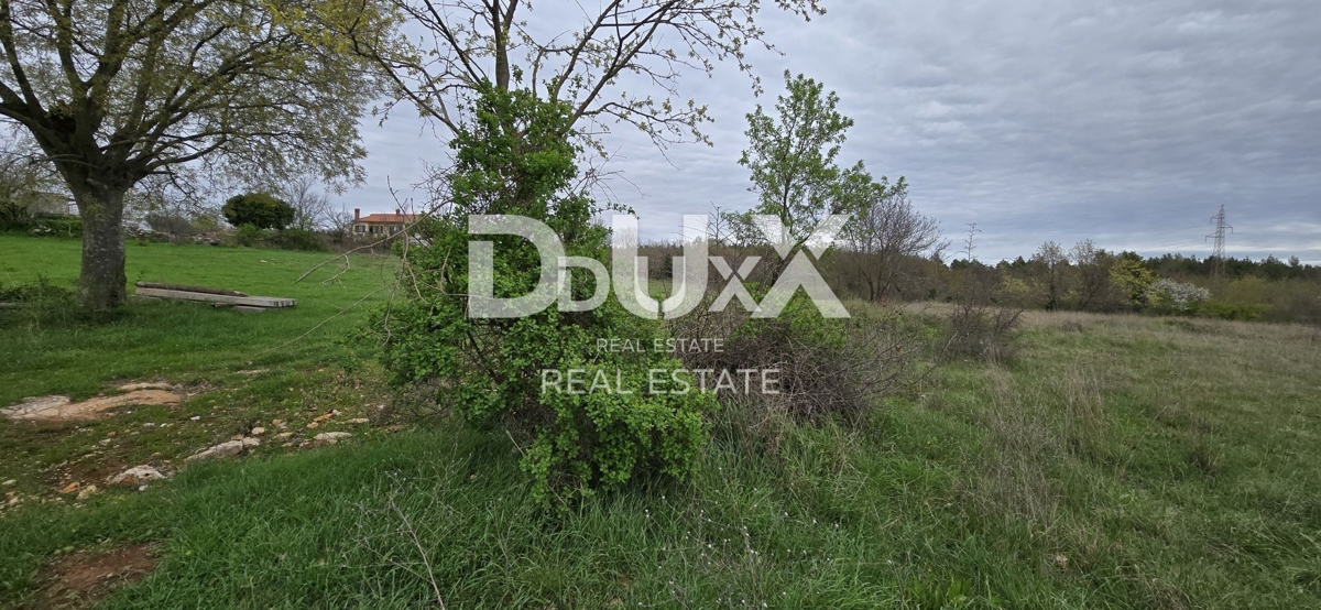 ISTRIA, SVETVINČENAT – Terreno con permesso definitivo e progetto di casa con piscina