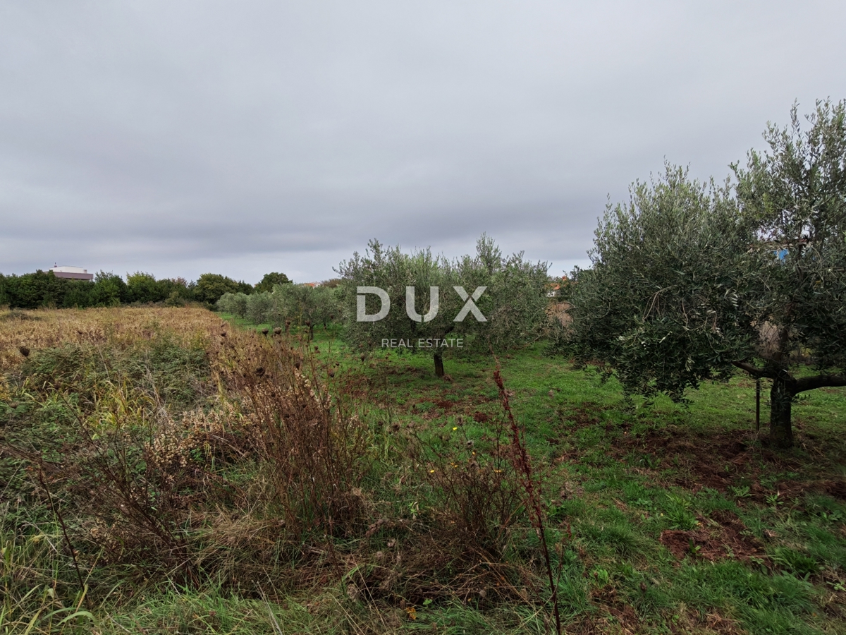 ISTRIA, PREMANTURA - Terreno edificabile 1615m2