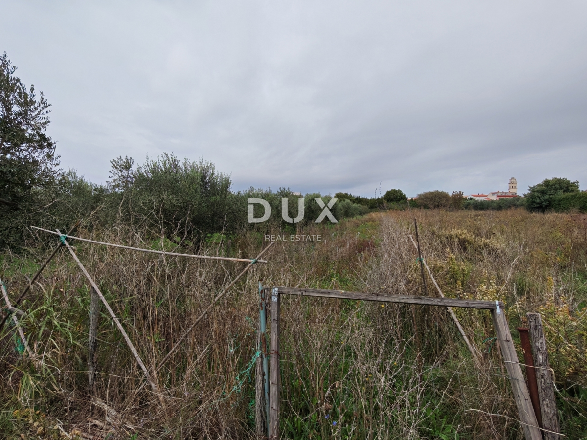 ISTRIA, PREMANTURA - Terreno edificabile 1615m2