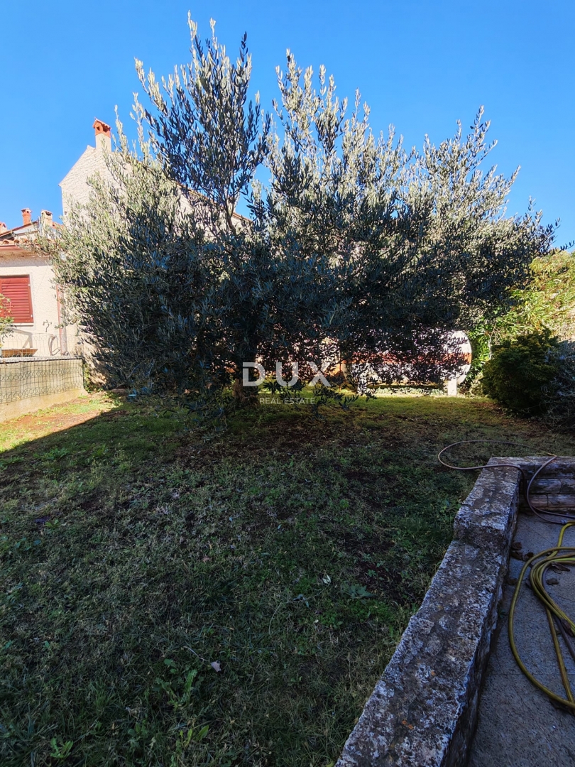 ISTRIA, BALE - Spaziosa villa con piscina e una casa in pietra aggiuntiva per gli ospiti