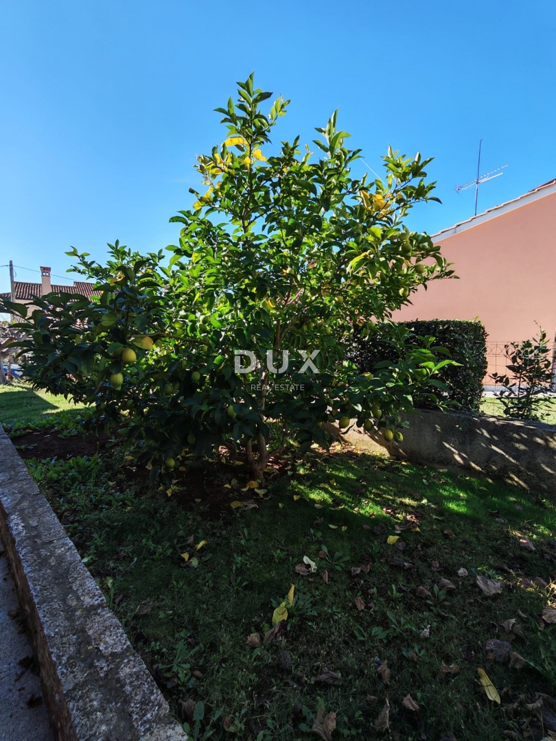 ISTRIA, BALE - Spaziosa villa con piscina e una casa in pietra aggiuntiva per gli ospiti