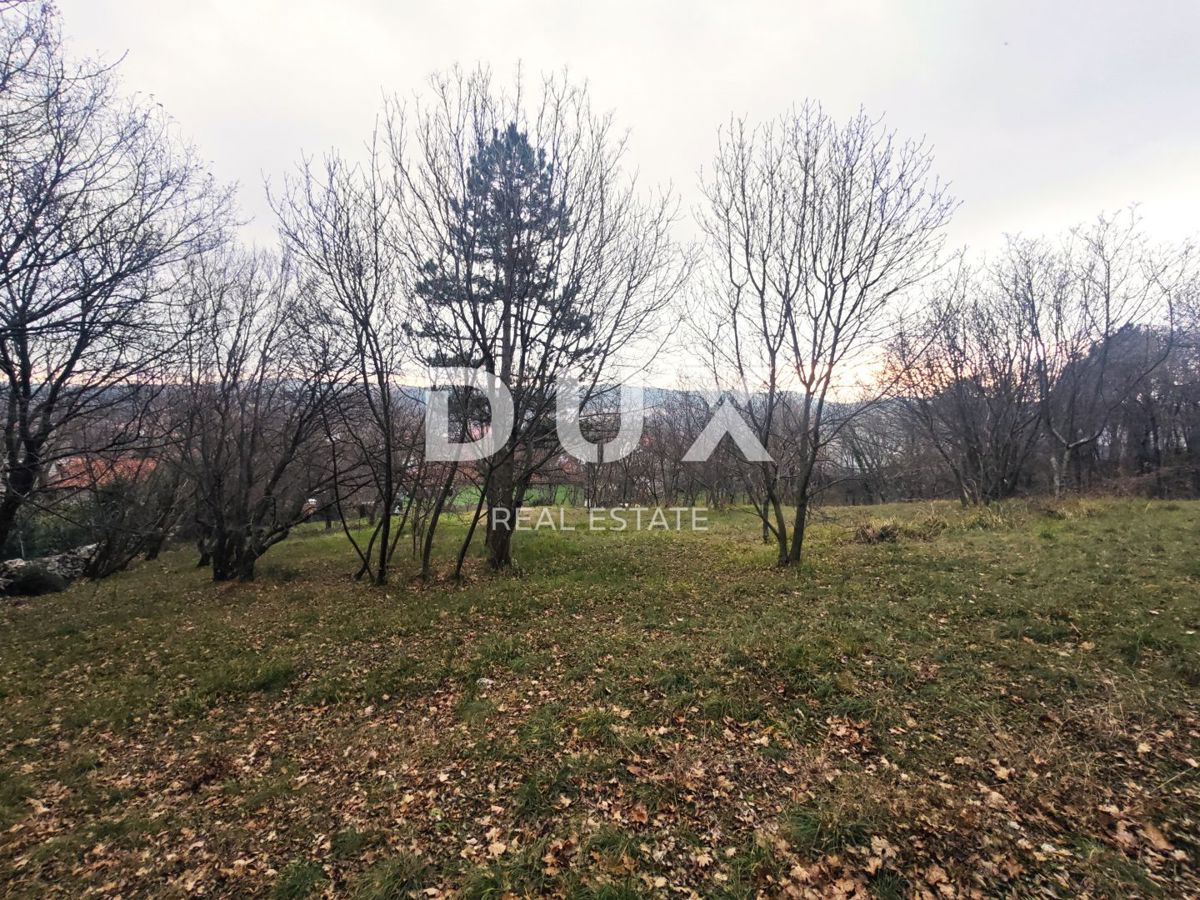 ČAVLE (dintorni) - Casa indipendente con 3250 m2 di terreno edificabile!