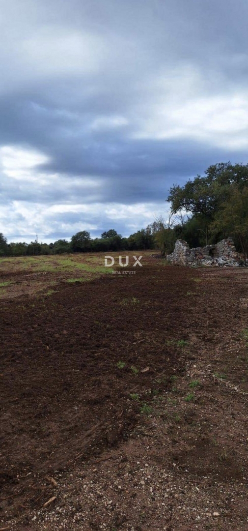 ISTRIA, ROVIGNO - Casa su ampio terreno agricolo