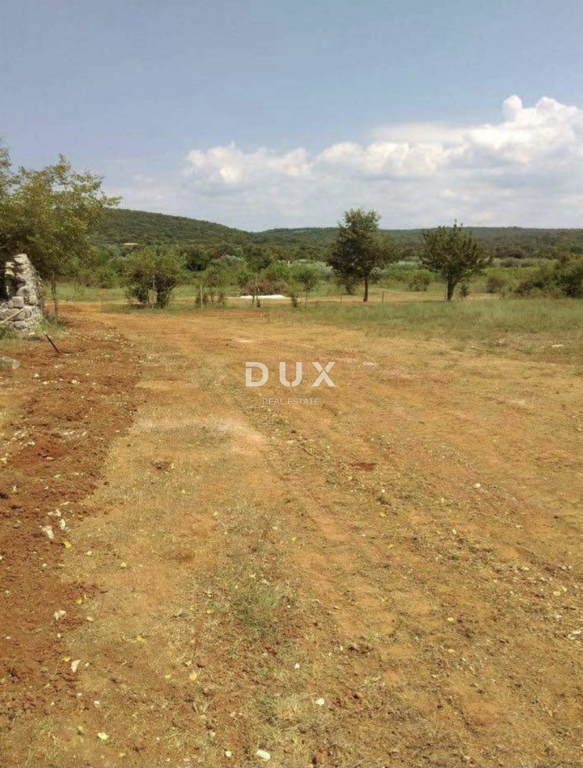 ISTRIA, ROVIGNO - Casa su ampio terreno agricolo