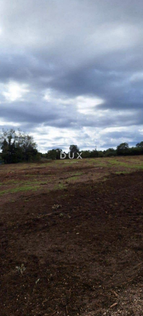 ISTRIA, ROVIGNO - Casa su ampio terreno agricolo