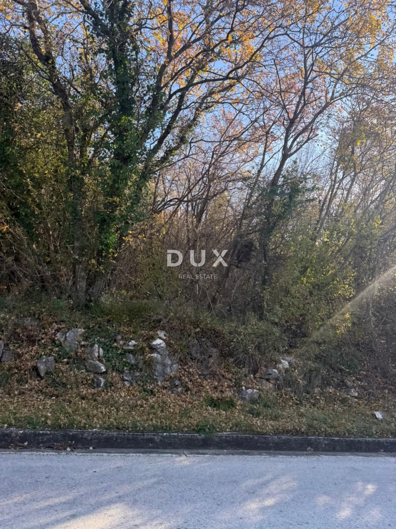 ISTRIA, ALBONA - Ampio terreno agricolo con accesso da strada asfaltata