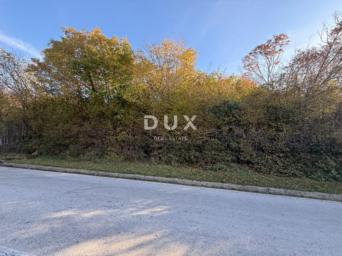 ISTRIA, ALBONA - Ampio terreno agricolo con accesso da strada asfaltata