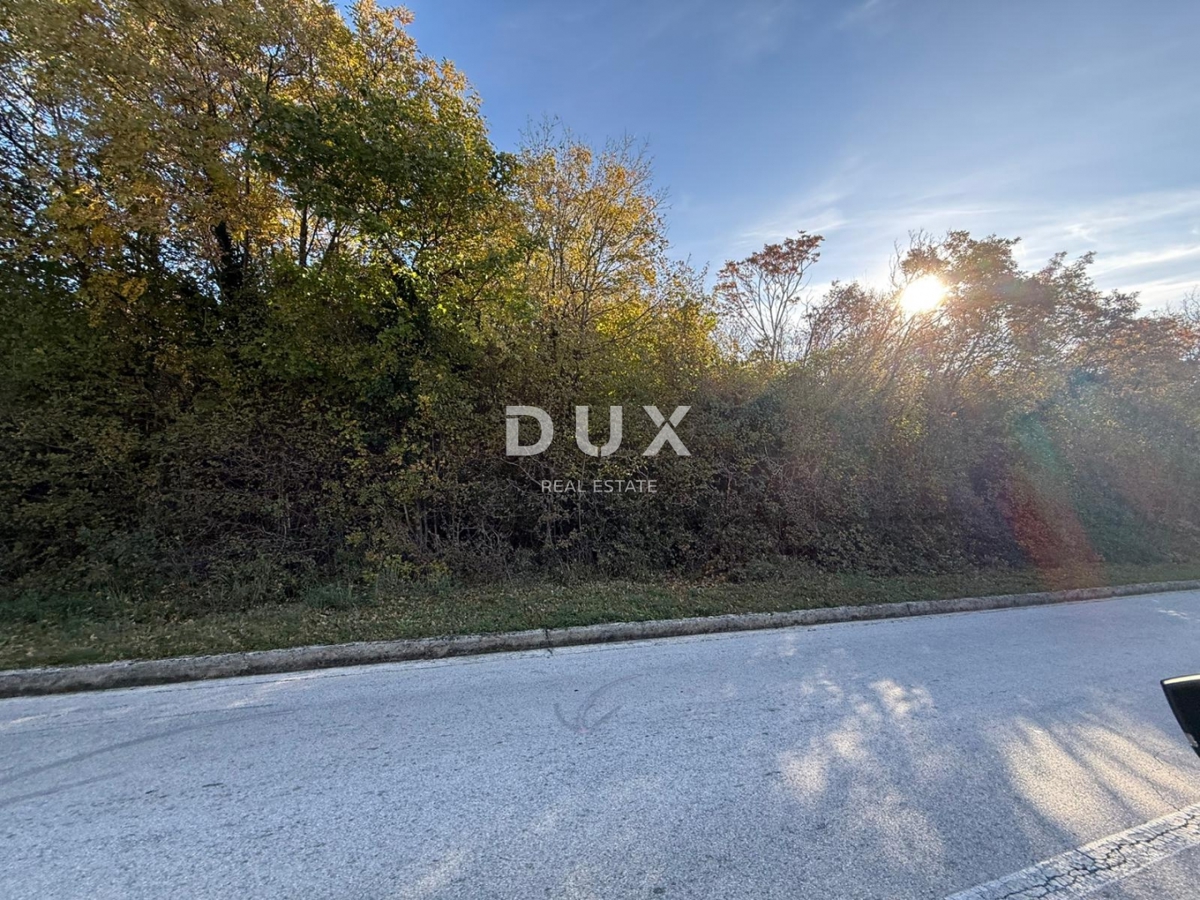 ISTRIA, ALBONA - Ampio terreno agricolo con accesso da strada asfaltata