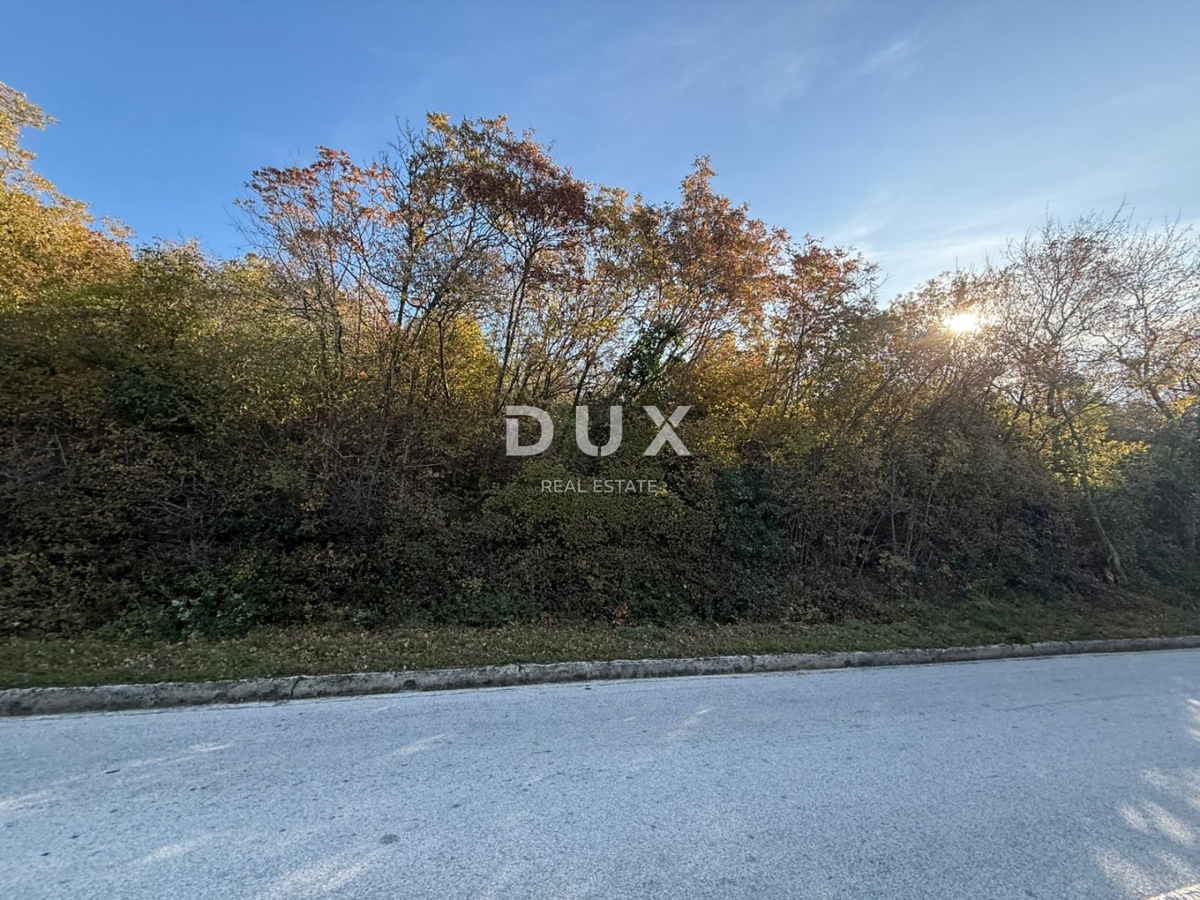 ISTRIA, ALBONA - Ampio terreno agricolo con accesso da strada asfaltata