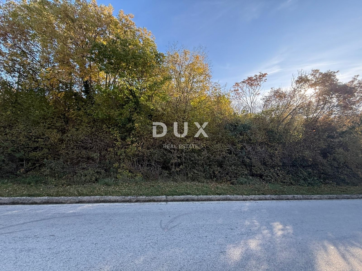 ISTRIA, ALBONA - Ampio terreno agricolo con accesso da strada asfaltata