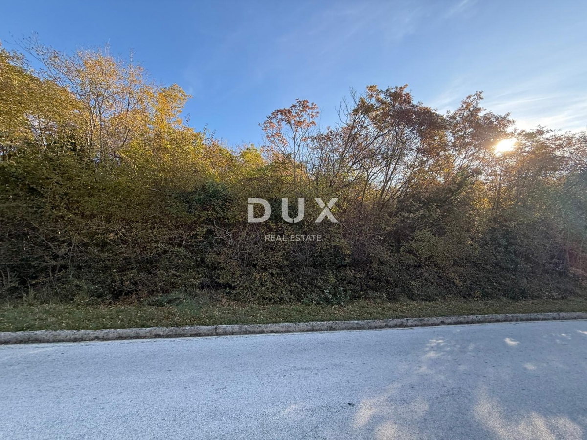 ISTRIA, ALBONA - Ampio terreno agricolo con accesso da strada asfaltata