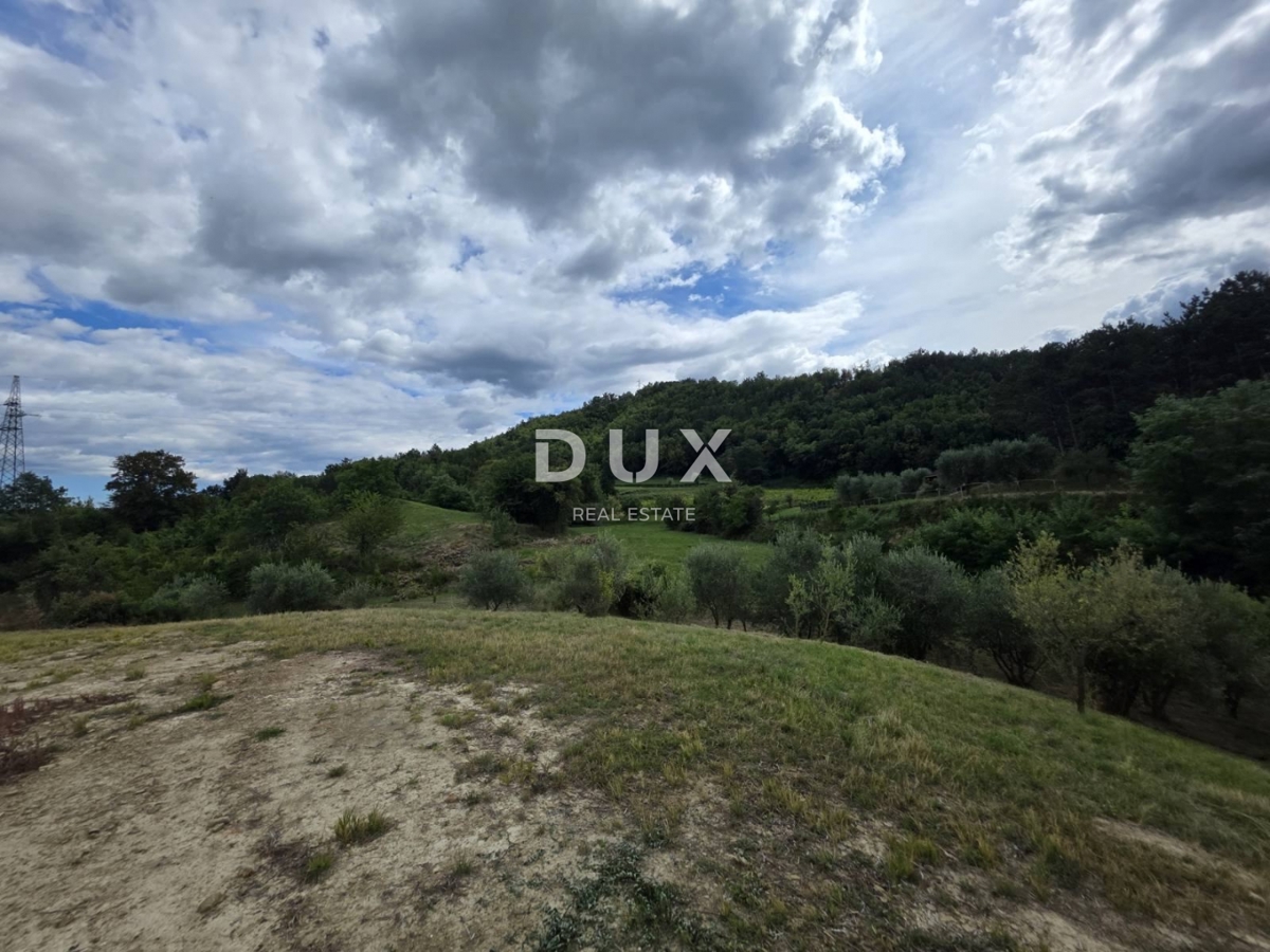 ISTRIA, HUM – Attraente proprietà di 8,4 ettari con due case legalizzate e terreno edificabile!