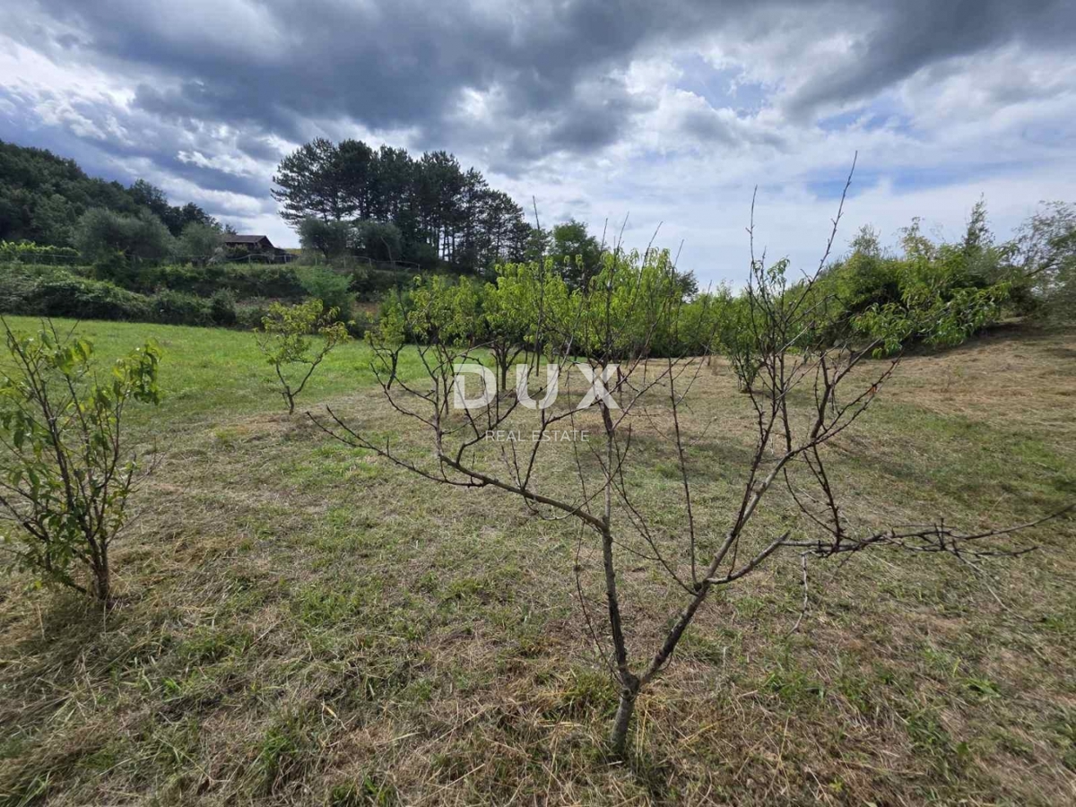 ISTRIA, HUM – Attraente proprietà di 8,4 ettari con due case legalizzate e terreno edificabile!