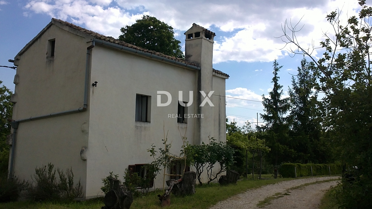ISTRIA, HUM – Attraente proprietà di 8,4 ettari con due case legalizzate e terreno edificabile!