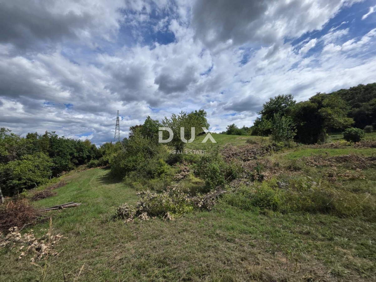 ISTRIA, HUM – Attraente proprietà di 8,4 ettari con due case legalizzate e terreno edificabile!