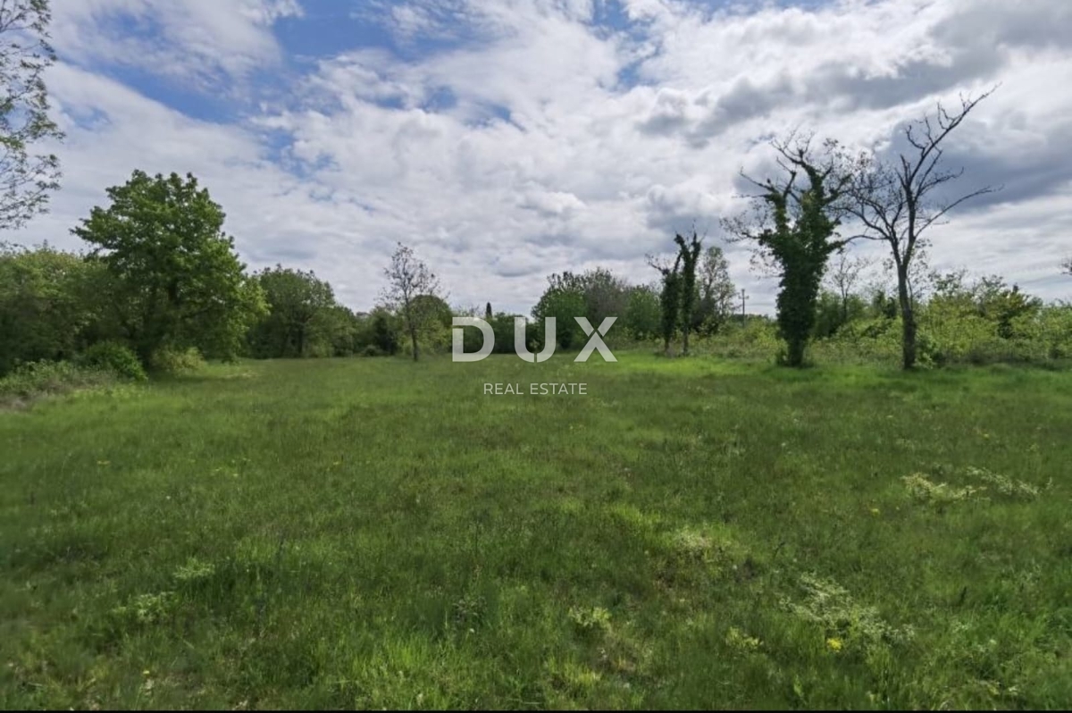 ISTRIA, VIŠNJAN - Ottima opportunità di investimento