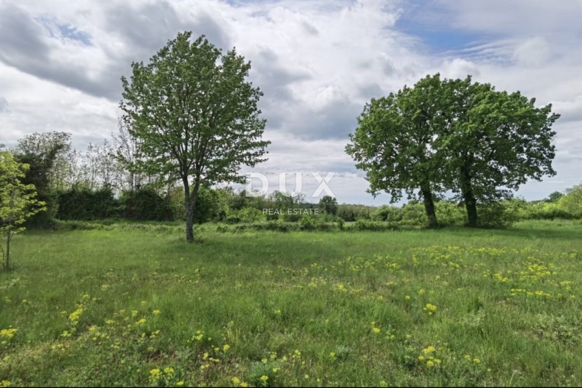 ISTRIA, VIŠNJAN - Ottima opportunità di investimento