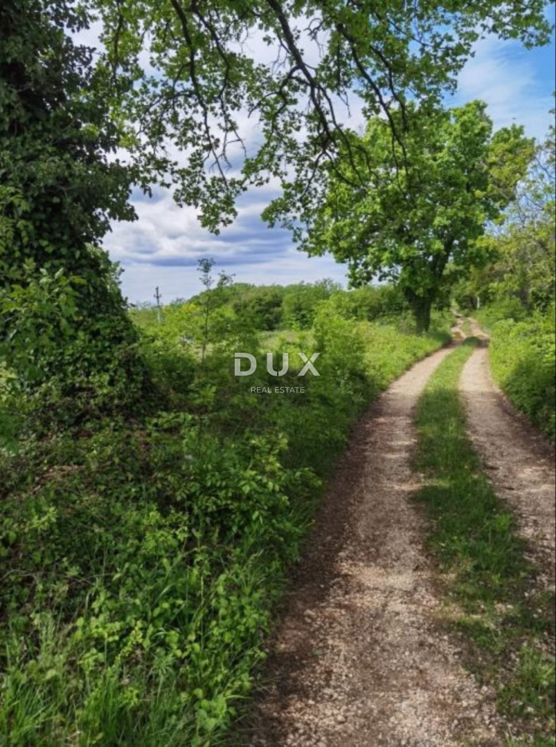 ISTRIA, VIŠNJAN - Ottima opportunità di investimento