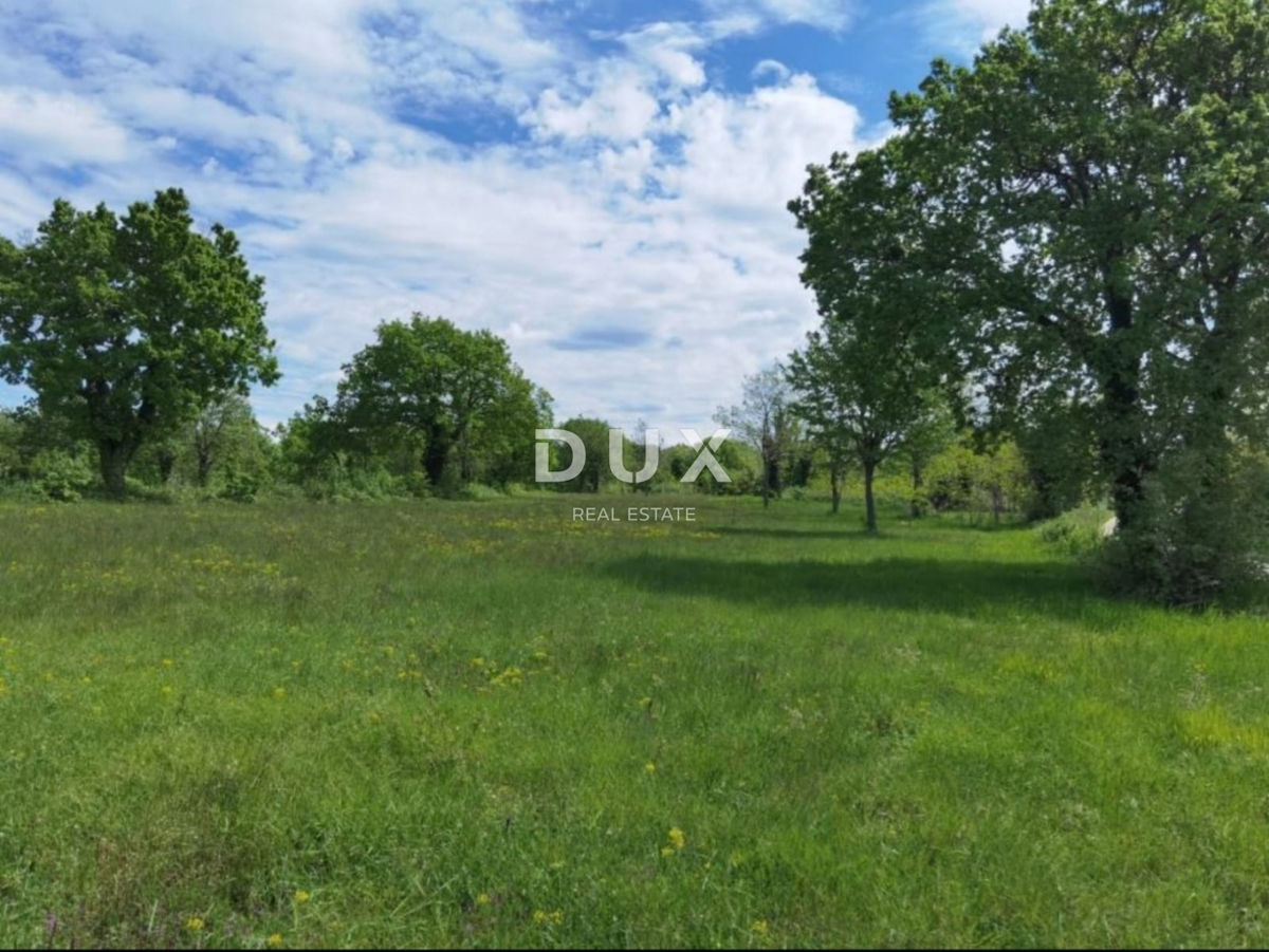 ISTRIA, VIŠNJAN - Ottima opportunità di investimento