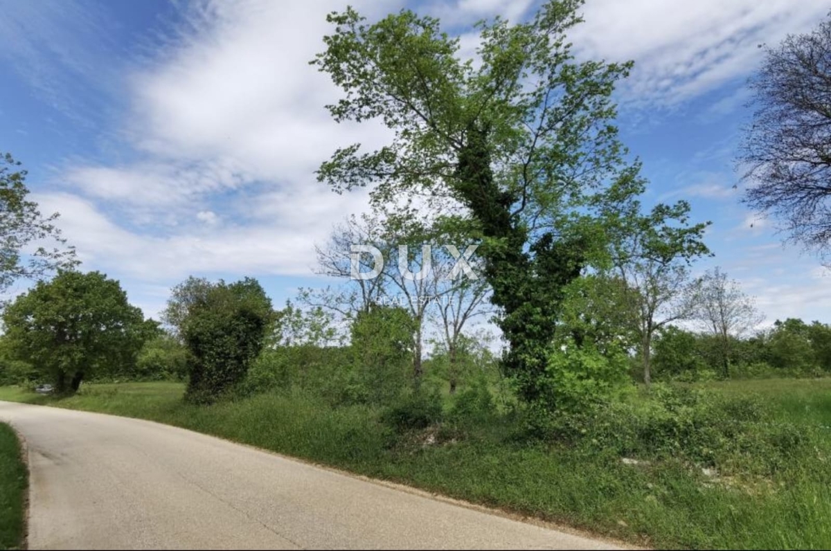 ISTRIA, VIŠNJAN - Ottima opportunità di investimento