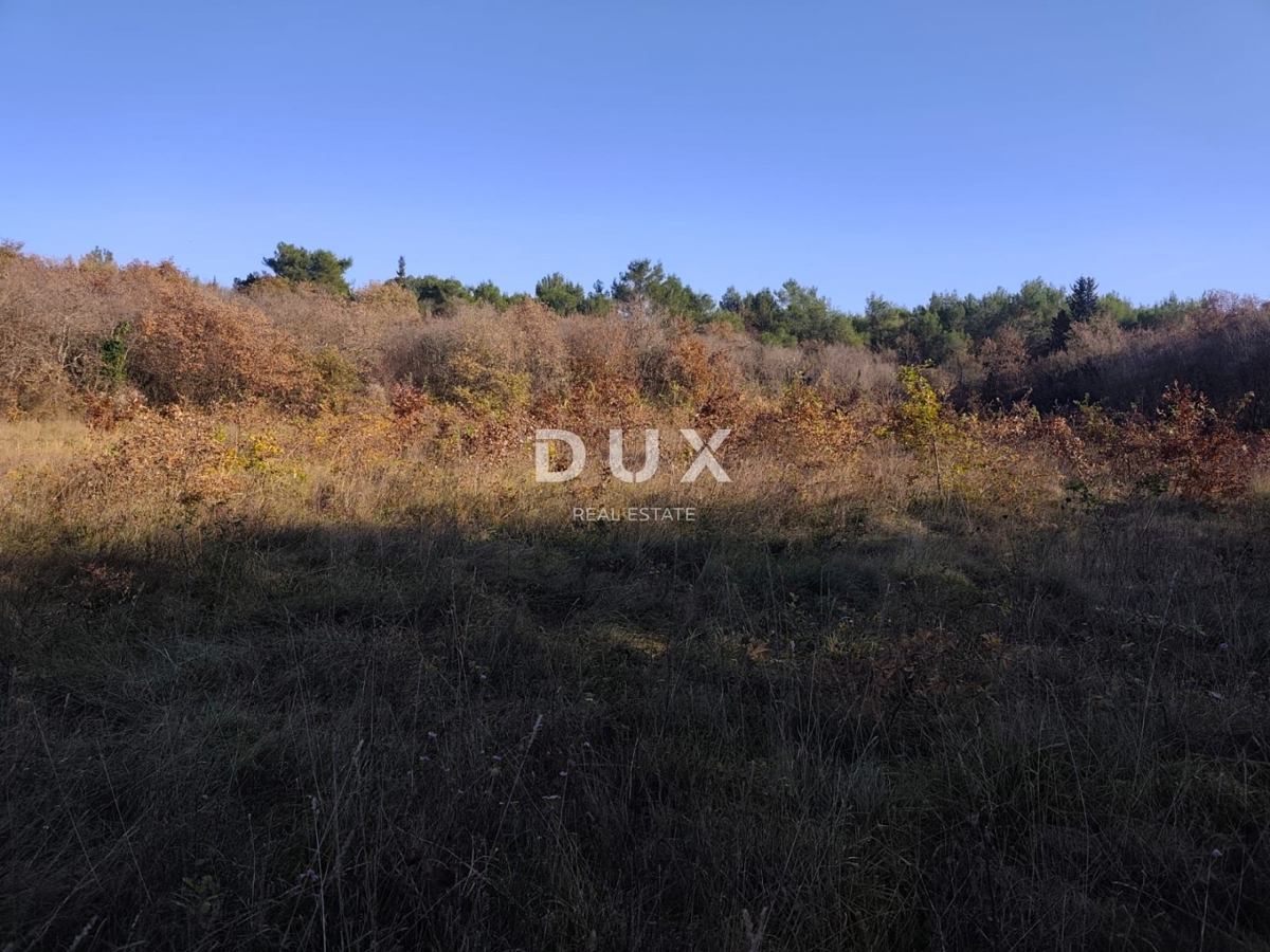 Terreno Savudrija, Umag, 6.758m2