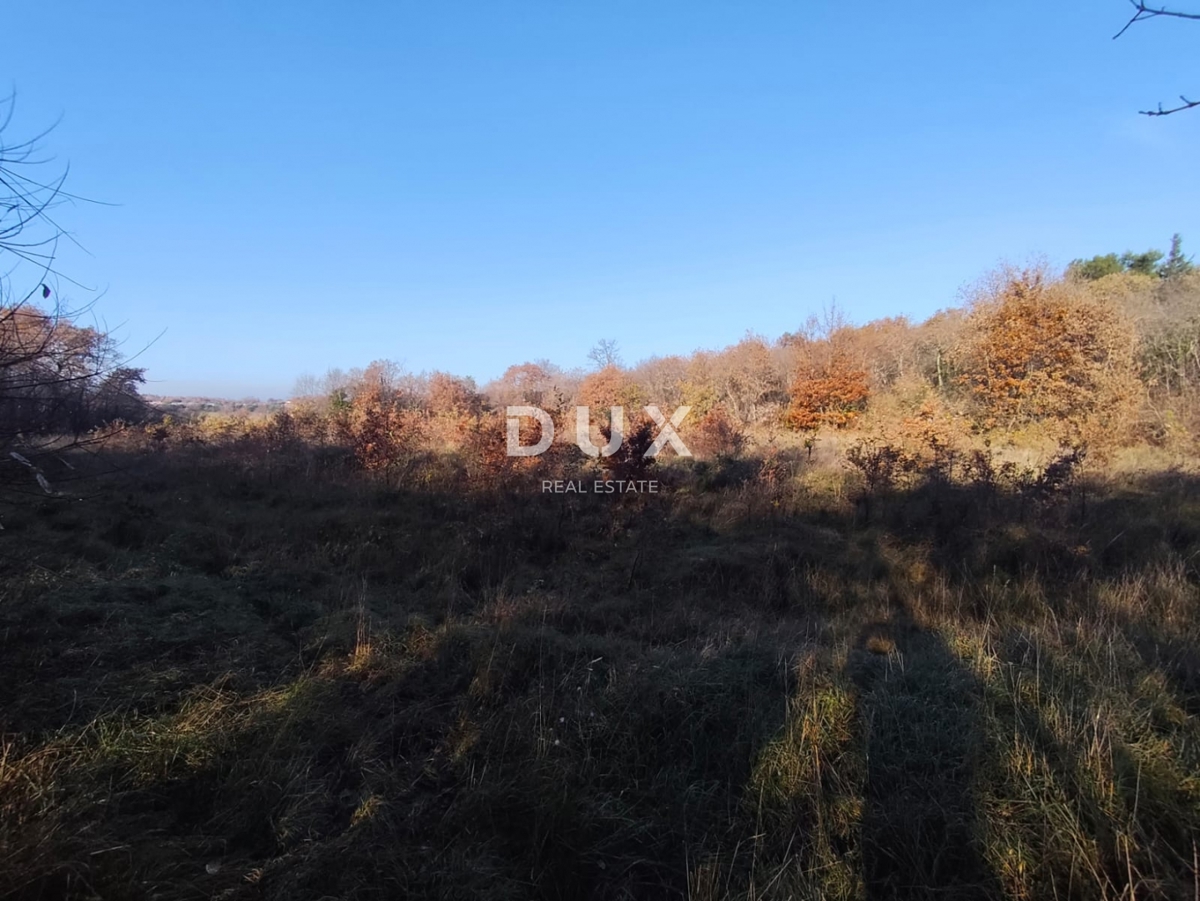 Terreno Savudrija, Umag, 6.758m2