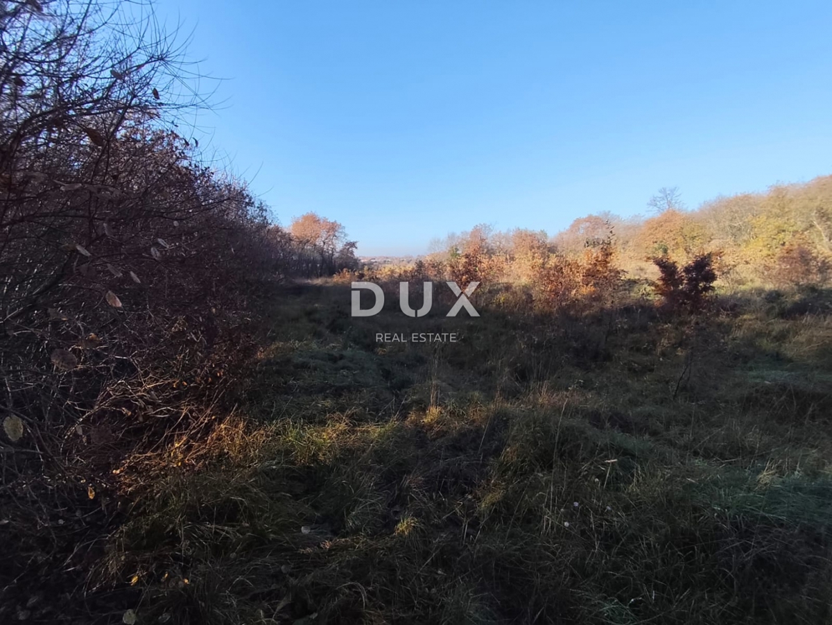 Terreno Savudrija, Umag, 6.758m2