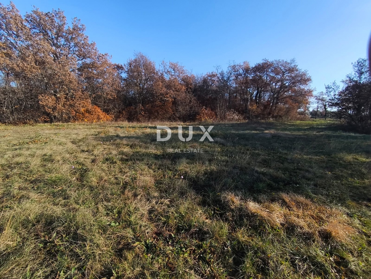 Terreno Savudrija, Umag, 6.758m2