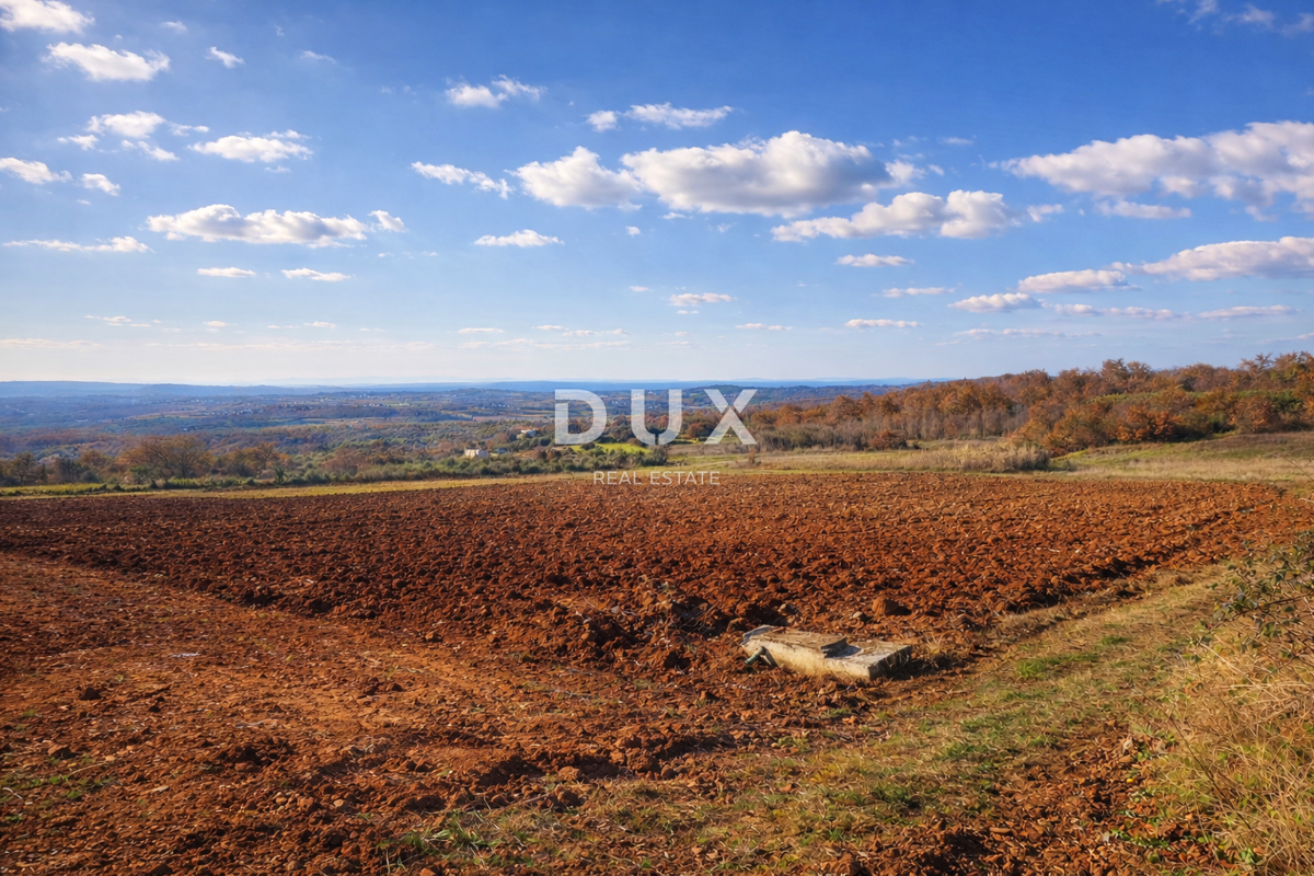 ISTRIA, VIŽINADA - Proprietà agricola con potenziale