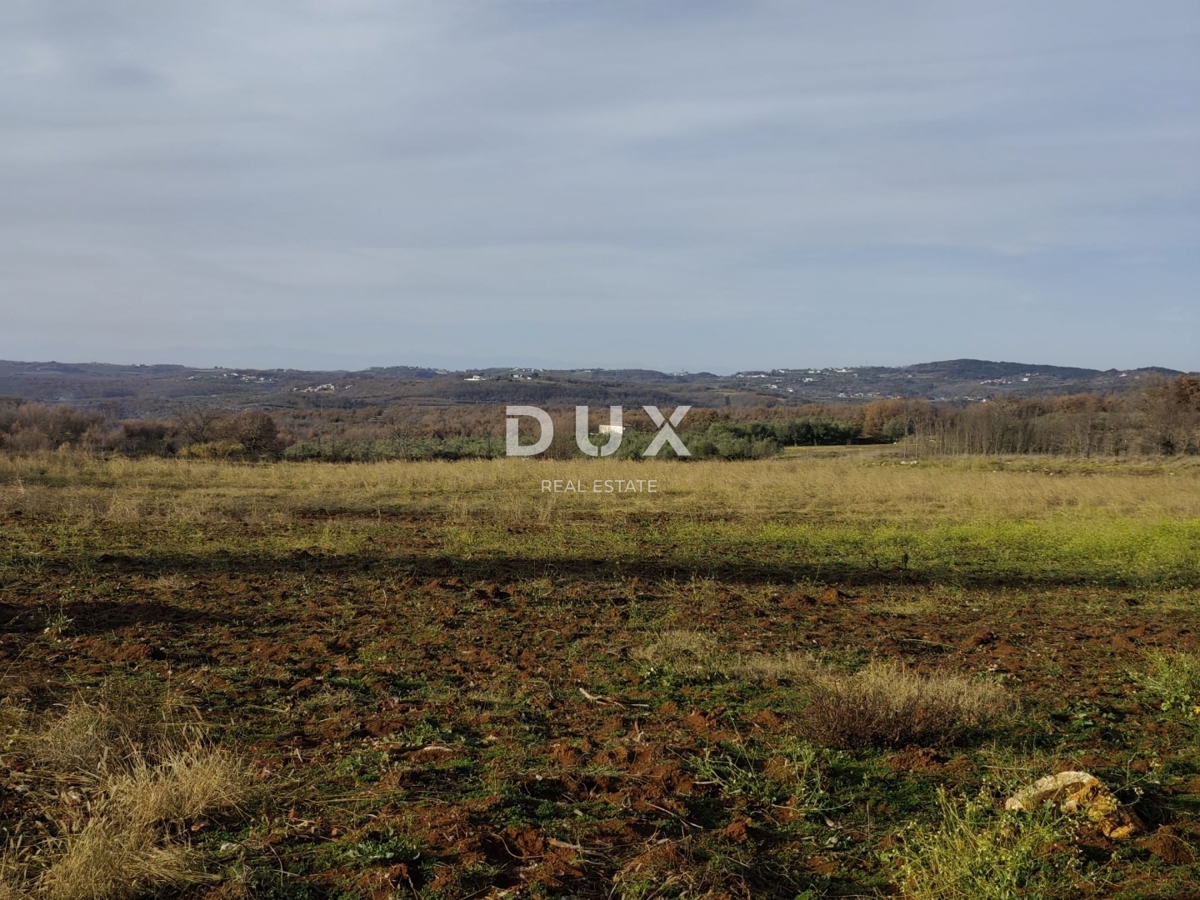 ISTRIA, VIŽINADA - Proprietà agricola con potenziale