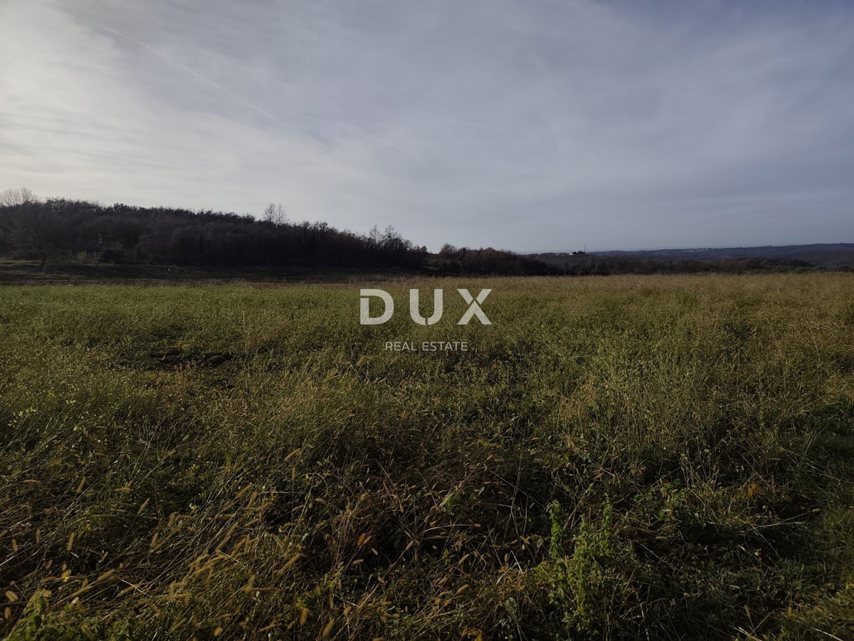 ISTRIA, VIŽINADA - Proprietà agricola con potenziale