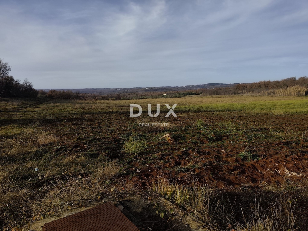 ISTRIA, VIŽINADA - Proprietà agricola con potenziale