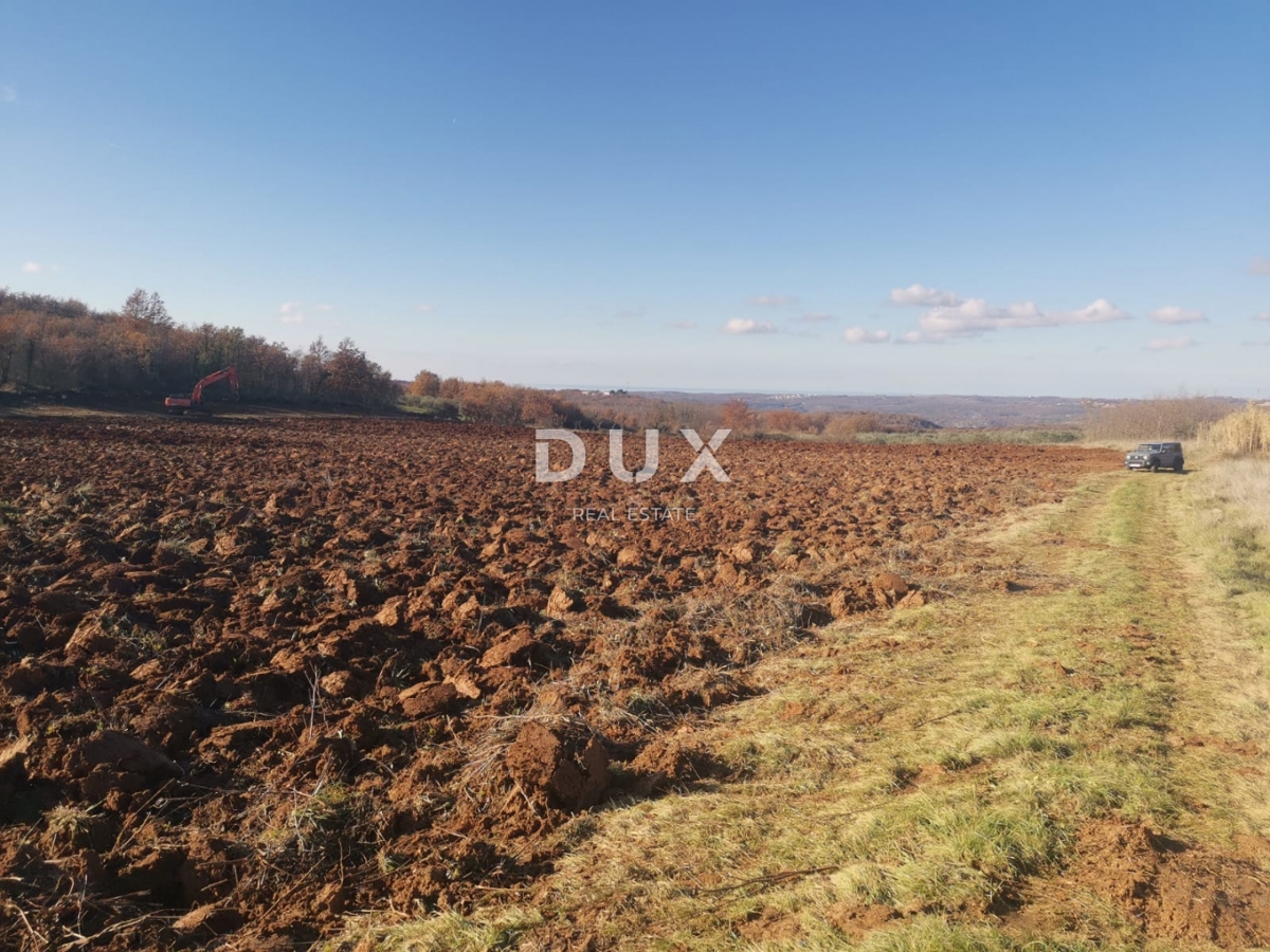 ISTRIA, VIŽINADA - Proprietà agricola con potenziale